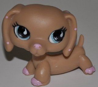 Dachshund #909 (Tan, Blue Eyes, Pink Paws/Deco)   Littlest Pet Shop (Retired) Collector Toy   LPS Collectible Replacement Figure   Loose (OOP Out of Package & Print)  
