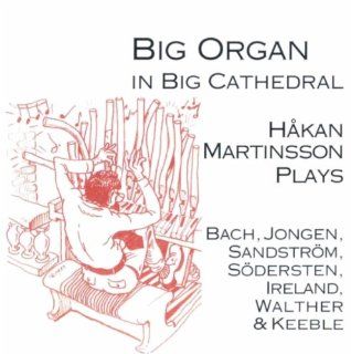 Big Organ in Big Cathedral Music