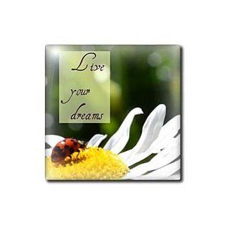 ct_31467_7 Patricia Sanders Flowers   Live Your Dreams Ladybug and Daisy Inspirational Quotes Macro Flowers   Tiles   8 Inch Glass Tile   Decorative Tiles