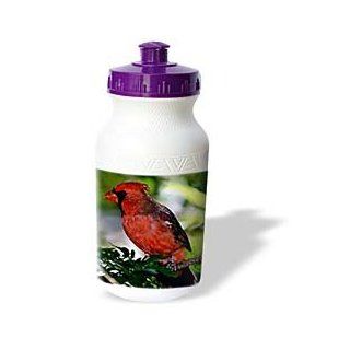 wb_584_1 Birds   Cardinal Bird   Water Bottles  Bike Water Bottles  Sports & Outdoors