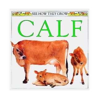 Calf (See How They Grow) Mary Ling 9781564582058 Books