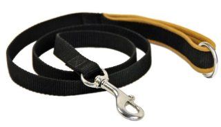 Dean & Tyler Padded Puppy Brown Padding Double Ply Dog Leash with Black Ring on Handle and Stainless Steel Snap Hook, 4 Feet by 3/4 Inch  Pet Leashes 