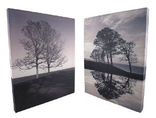 Pair of Black/White Tree Art Photography Printed Canvases 16 X 20 In.   Canvas Black And White Tree