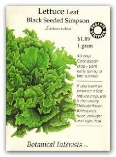 Lettuce Leaf Black Seeded Simpson Certified Organic Seed  Lettuce Plants  Patio, Lawn & Garden