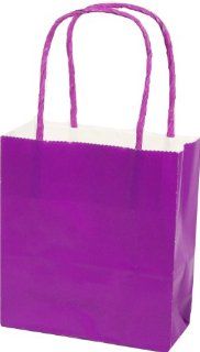 All Occasion Solid Color Paper Handle Gift Bags, Iris Purple, 4.5" Wide x 5" High x 2" Deep, 12 Pack of Bags 