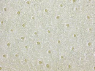Vinyl Ostrich White Fake Leather 54 Inch Fabric By the Yard (F.E.) 