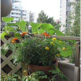 Amertac 5014BL Flower Pot Holder, Black (Discontinued by Manufacturer)  Hanging Plant Stand  Patio, Lawn & Garden
