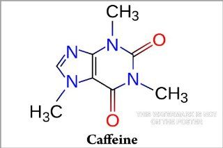 Caffeine Molecule Diagram   24"x36" Poster  Prints  