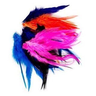 Feather mix, chicken (dyed), multicolored, 3 1/2 to 7 1/2 inch saddle hackle. Sold per pkg of 0.25 ounces, approximately 85 feathers.