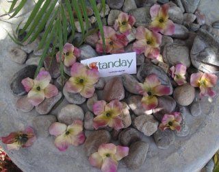Tanday (Mauve) 2" Loose Hydrangea Flowers 1 Bunch approximately 35 petals  Other Products  