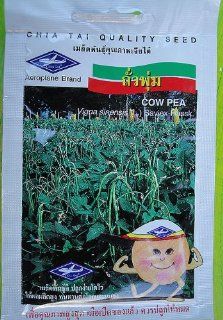 Cow Pea Vegetable Seeds   1 Pack 100 Approximately Seeds New Sealed Made in Thailand  Vegetable Plants  Patio, Lawn & Garden