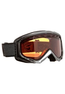 Alpina   TURBO GT   Ski Goggles   silver