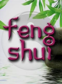 Feng Shui Creating Environments for Success and Well Being Deborah Gee  Instant Video