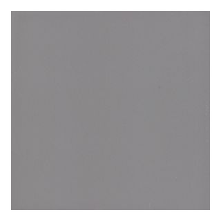 American Olean Bright Storm Gray Gloss Ceramic Bullnose Trim (Common 6 in x 6 in; Actual 6 in x 6 in)