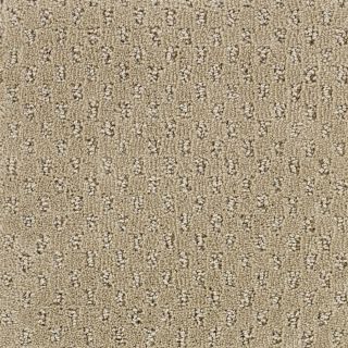 STAINMASTER Solarmax Beige Fashion Forward Indoor Carpet