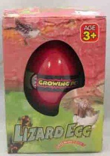 Lizart Eggs   Growing Pet   Put the Egg in Water for 48 Hour the Lizart Will Begin to Hatch   Amusing   Funny   Novel Toys & Games