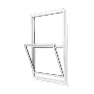 BetterBilt 350 Series Vinyl Double Pane Single Hung Window (Fits Rough Opening 36 in x 60 in; Actual 35.5 in x 59.5 in)