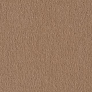 Sequentia 0.09 in x 4 ft x 1 ft Fawn Brown Sandstone Fiberglass Reinforced Wall Panel