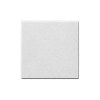 Armstrong 16 Pack Sahara Homestyle Ceiling Tile Panel (Common 24 in x 24 in; Actual 23.563 in x 23.563 in)