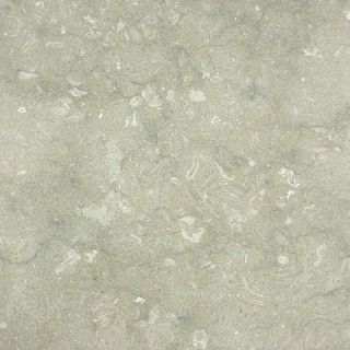4 Pack 18 in x 18 in Seagrass Honed Natural Limestone Floor Tile