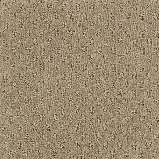 STAINMASTER Solarmax Brown Fashion Forward Indoor Carpet