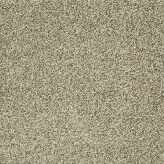 STAINMASTER Trusoft Peaceful Mood II Spring Grass Textured Indoor Carpet