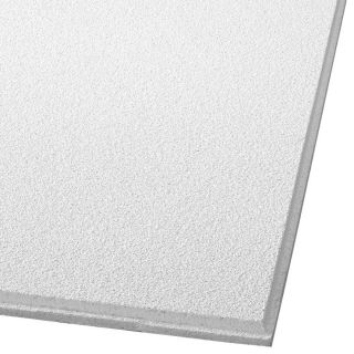 Armstrong 16 Pack Dune Ceiling Tile Panel (Common 24 in x 24 in; Actual 23.745 in x 23.745 in)