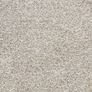 STAINMASTER Active Family Huntington Heights Cream Textured Indoor Carpet
