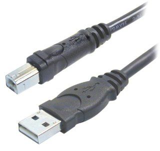 Belkin Hi Speed USB 2.0 Cable (10 Feet) Electronics
