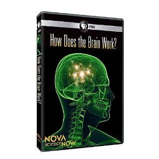 Nova Science Now How Does the Brain Work Hosted by Neil Degrasse Tyson, n/a Movies & TV