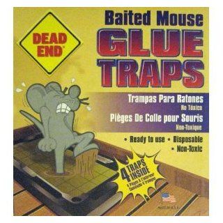 Dead End Baited Mouse & Insect Glue Traps  Rodent Traps  Patio, Lawn & Garden