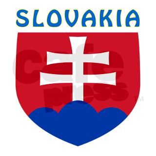 Slovakia Coat of arms Silver Square Charm by tshirts4countries