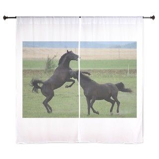 arabian horses fighting 60 Curtains by Savarinka1