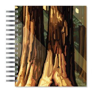 ECOeverywhere Sequoia Trees Picture Photo Album, 18 Pages, Holds 72 Photos, 7.75 x 8.75 Inches, Multicolored (PA12104)  Wirebound Notebooks 