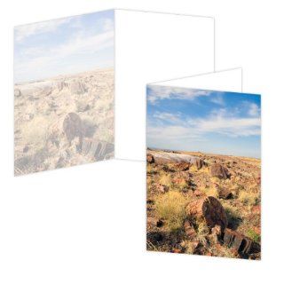 ECOeverywhere Petrified Forest Boxed Card Set, 12 Cards and Envelopes, 4 x 6 Inches, Multicolored (bc14290)  Blank Postcards 