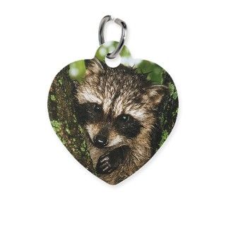 Baby Raccoon Pet Tag by picsofnature