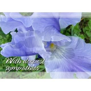 Blue Violet Iris Sympathy Cards 4.25x5.5 (10 Pk) by FCAC