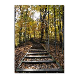 Trademark Art Fall Stairway 2 by Kurt Shaffer Photographic Print on