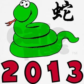 Funny Chinese Zodiac Snake 2013 T Shirt by exotic_tees