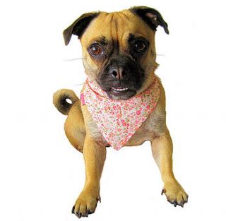 dog bandana neckerchief by bijou gifts