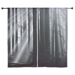 Sunlight in forest   60 Curtains by GettyImages