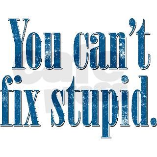 You Cant Fix Stupid Landscape Keychain by listing store 4159929