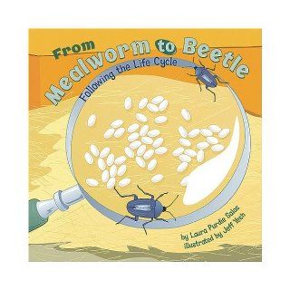 From Mealworm to Beetle Following the Life Cycle (Amazing Science Life Cycles) Laura Purdie Salas, Shelly Lyons, Jeff Yesh, Melissa Kes, Nathan Gassman, Lori Bye 9781404849259 Books