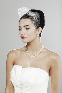 petite birdcage veil with accents by queens & bowl