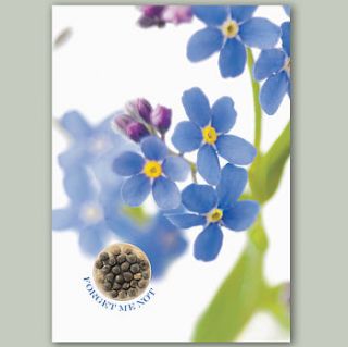 forget me not flower card with seeds to grow by think bubble