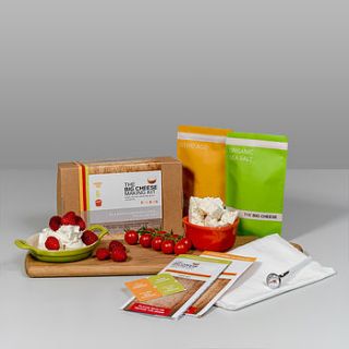 child's cheese making kit by the big cheese making kit