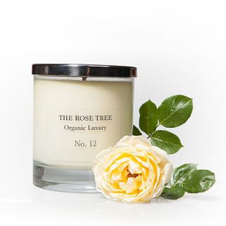 no 12 organic candle by the rose tree