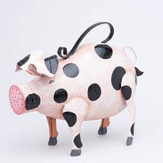 pig watering can by xxxxxxxxxxx