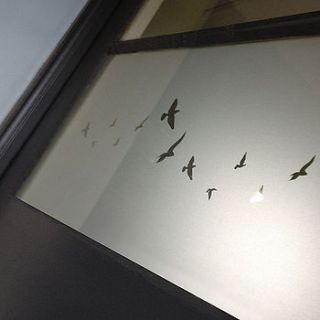 flying birds dry apply window film by spin collective