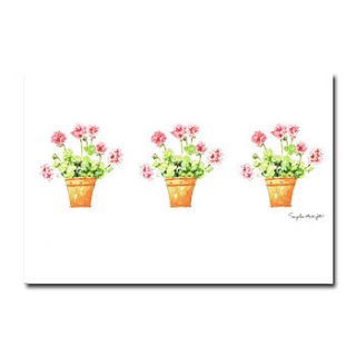 pink geraniums greetings card by sophie allport